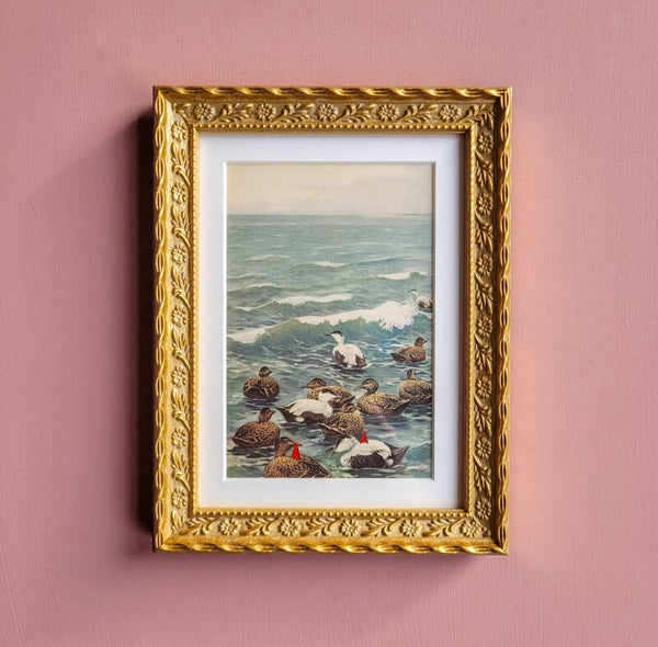 Kabouters gaan een stukje varen