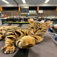 img_3693-standard.jpg