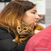 img_3734-standard.jpg
