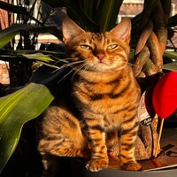 img_3980-standard.jpg