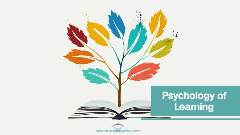 SoulsOnRanibows Psychology_of_Learning Jouwweb