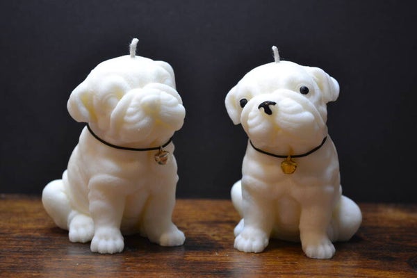 Kerze ENGLISCHE BULLDOGGE