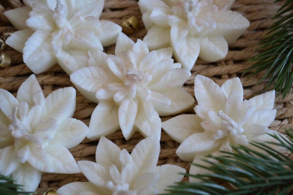 Kerze WEIHNACHTSSTERN