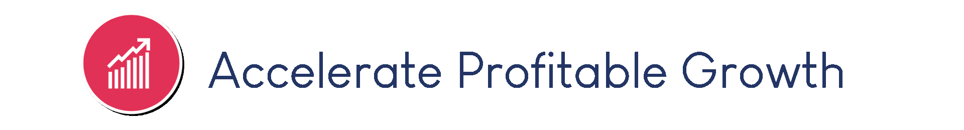 Profitable Growth / Stategic planning / Leardership and teams