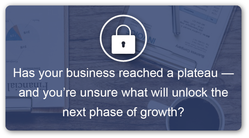 Business growth reaching plateau