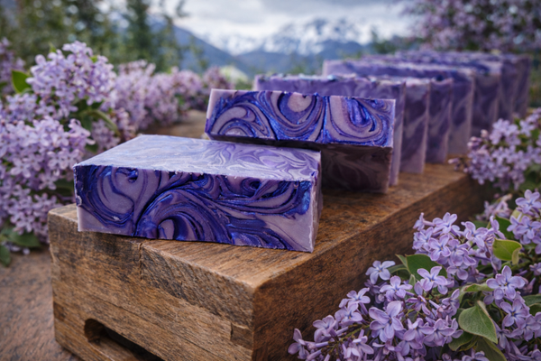 Montana Lilac