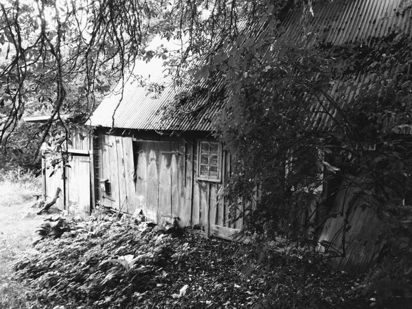 In het bos, stil en verlaten (3)
