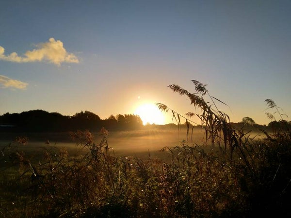 Landgoed Schoonoord (1)