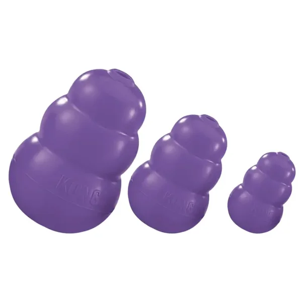 Kong Senior