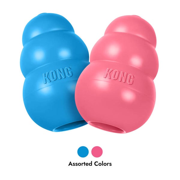 KONG Puppy Assorti