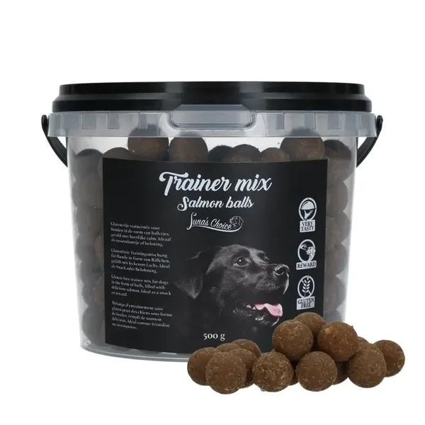 Luna's Choice Trainer Mix Zalm Balletjes (glutenvrij)