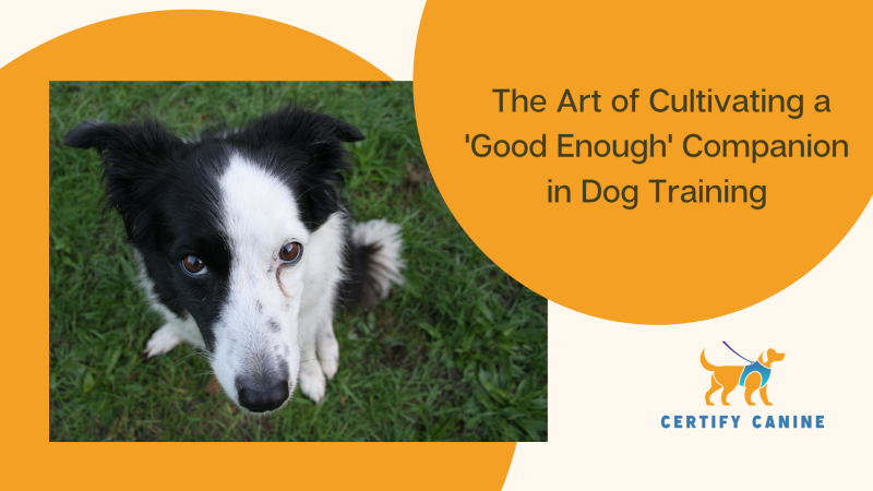 Companion Dog Training