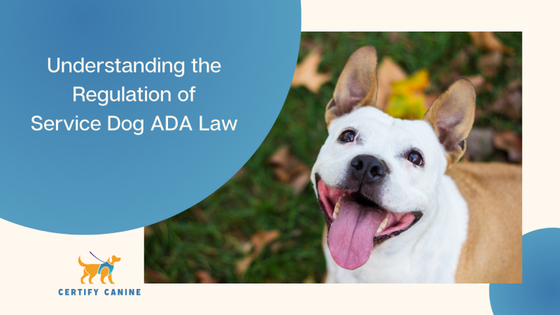 Regulation of Service Dog Law