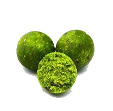 Testpakket THE CITRUS