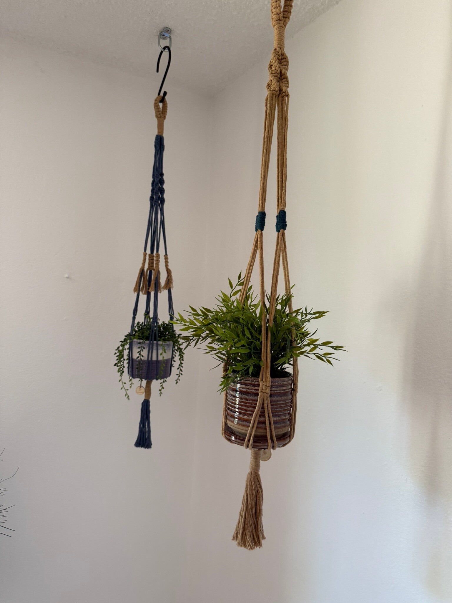 Plant Hangers