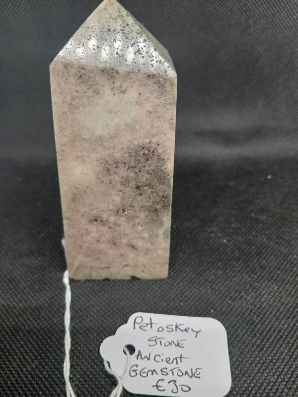 Petoskey stone Tower