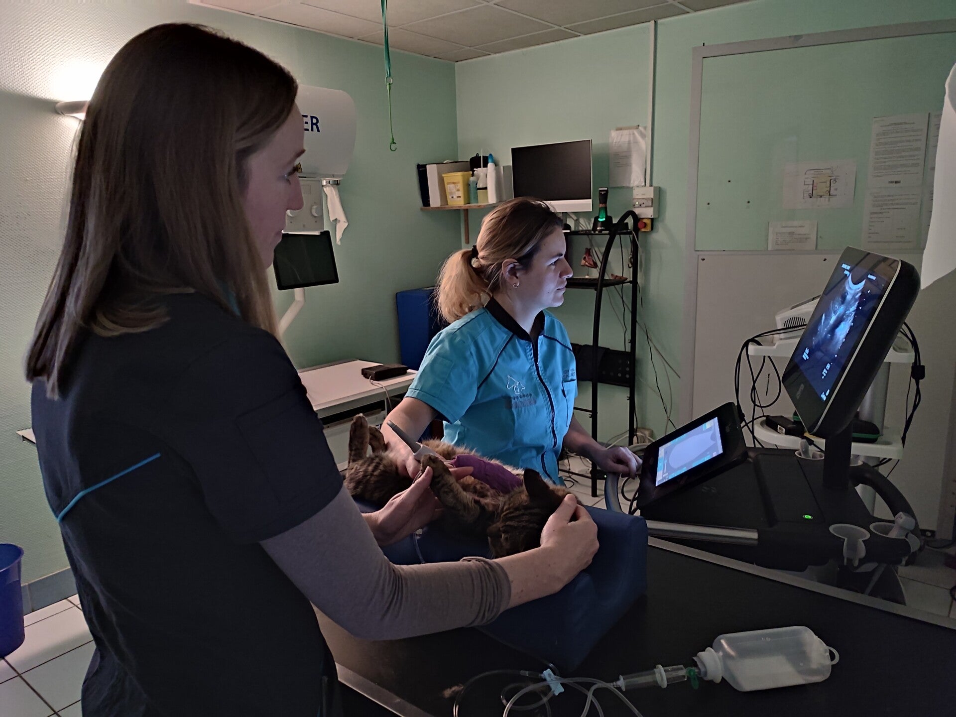 Echographie abdominale