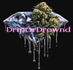 DripOrDrownd