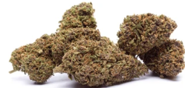 Agent Orange