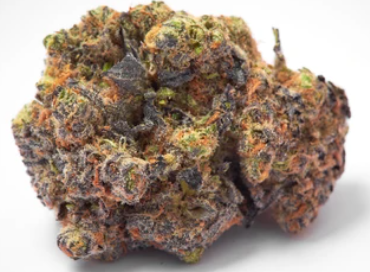 Gelato 33