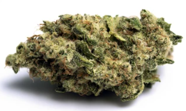 Durban Poison