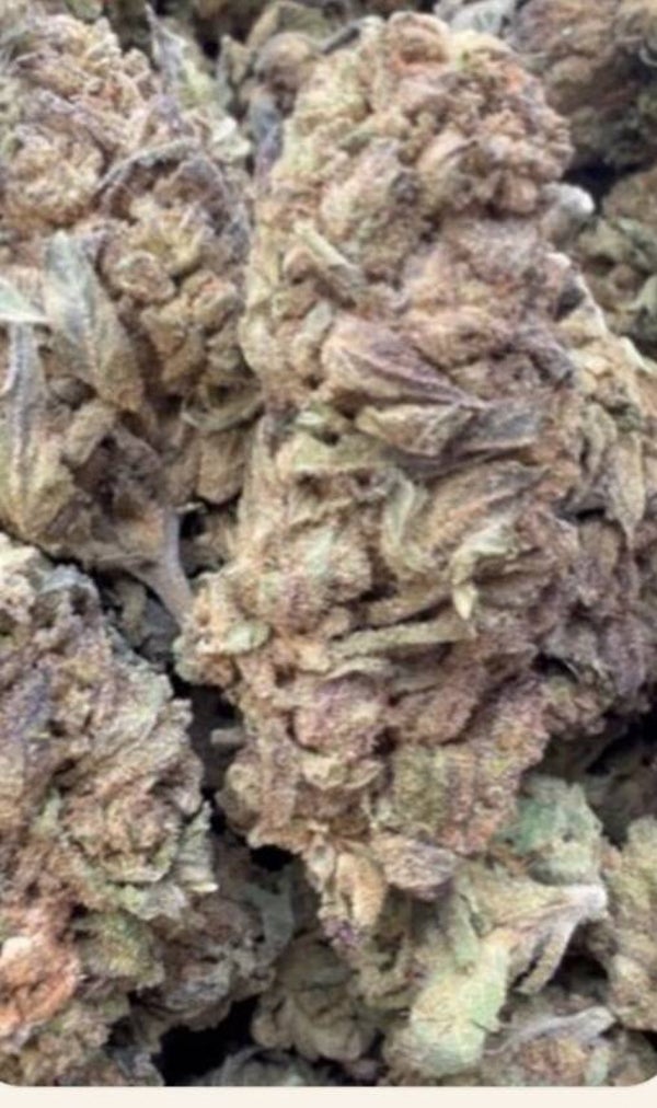 White Gelato