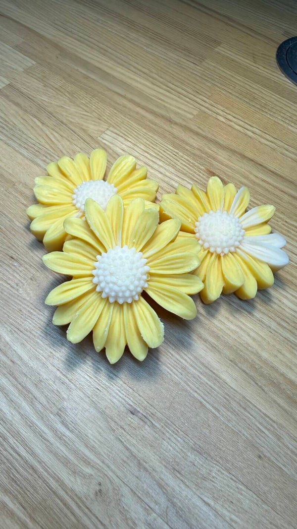 Passion Gingembre
