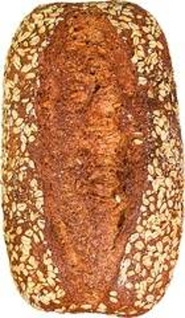 Pane maire volk tarwe haver