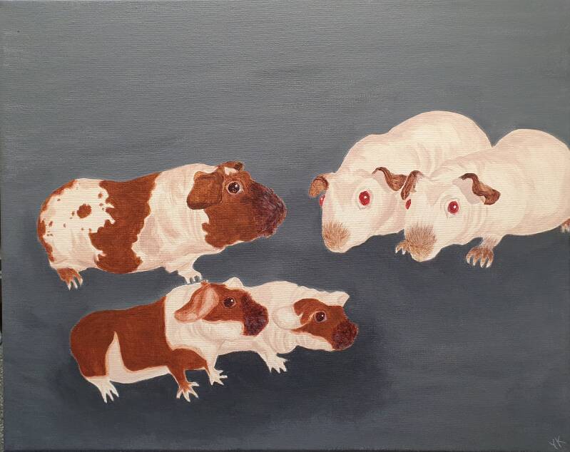 acrylverfschilderij naaktcavia acrylic painting hairless guineapig