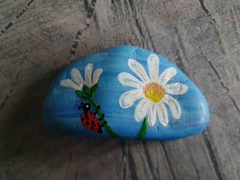 Rock painting acrylic painting stenen schilderen acrylverf 