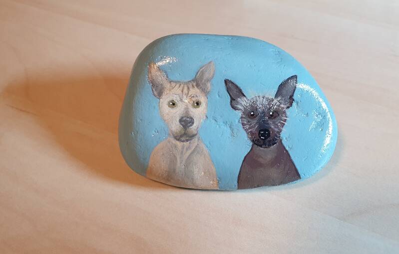 Rock painting acrylic painting stenen schilderen acrylverf 