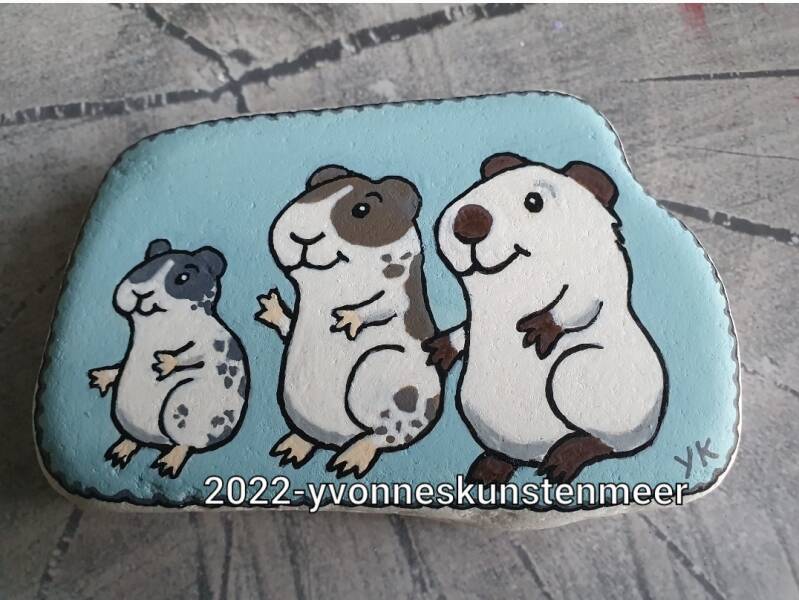 Rock painting acrylic painting stenen schilderen acrylverf  skinnypigs yvonneskunstenmeer