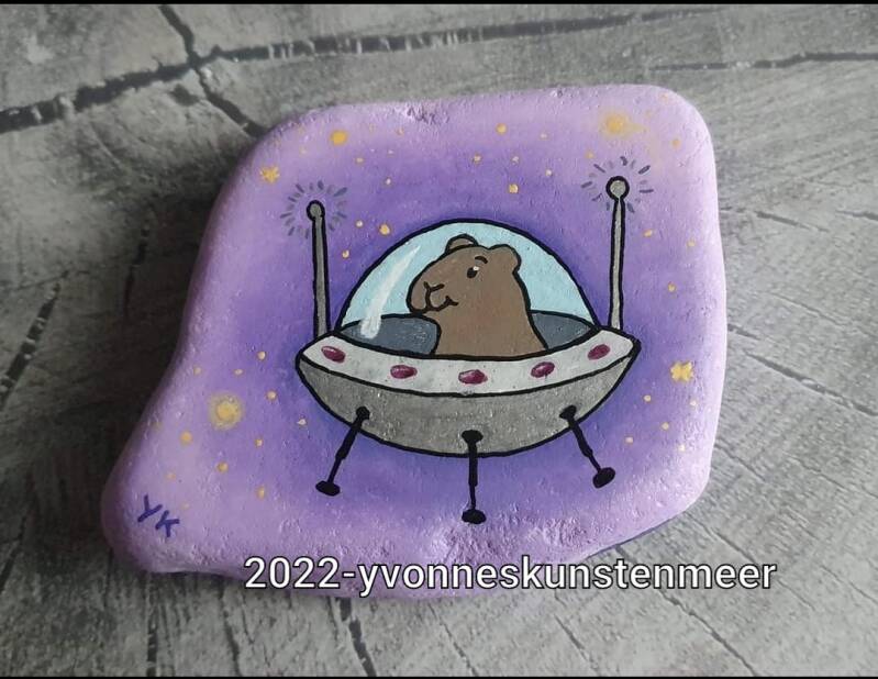 Rock painting acrylic painting stenen schilderen acrylverf  skinnypigs yvonneskunstenmeer
