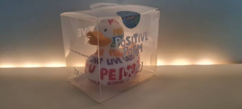 bud ducks collector items 