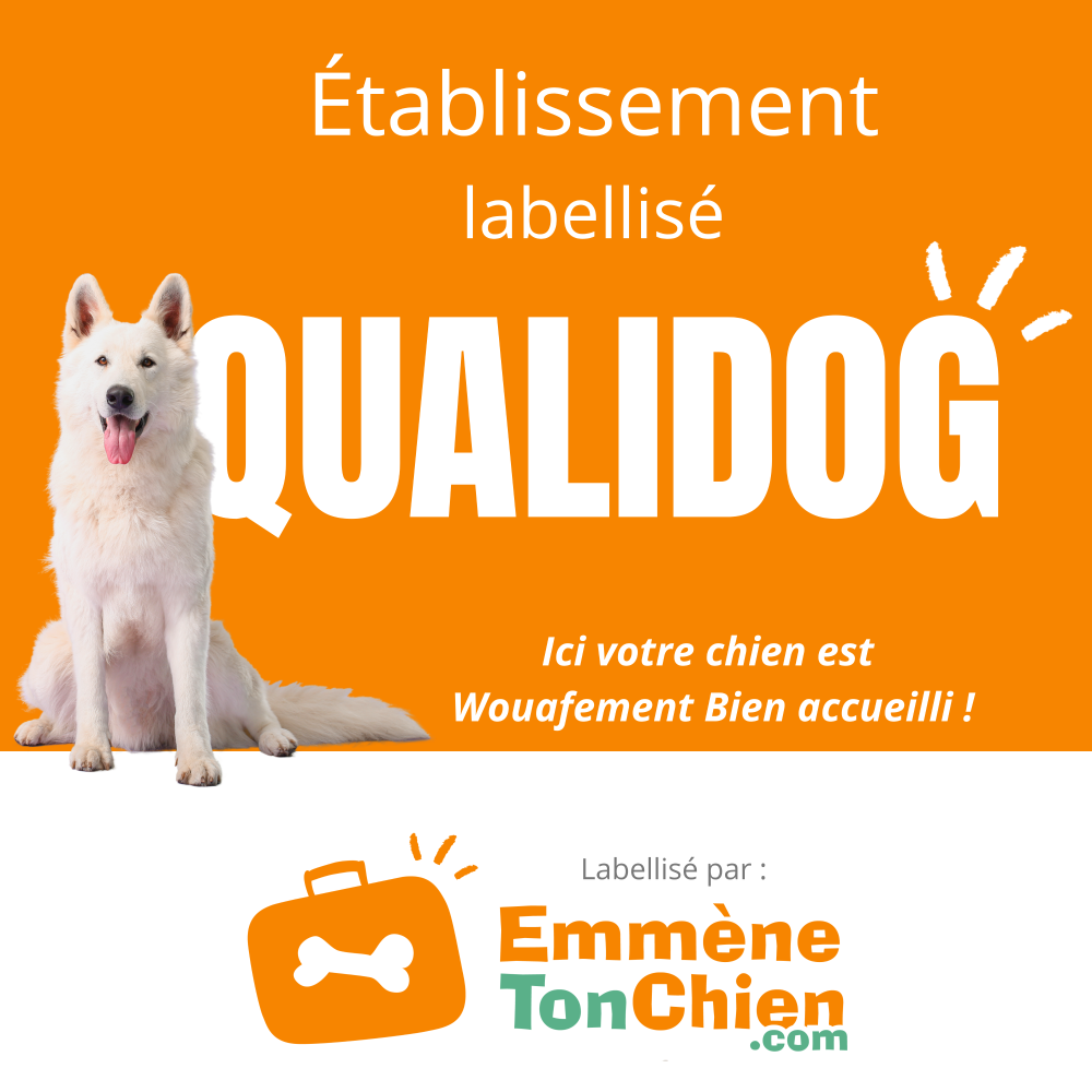 Accueil chien qualidog