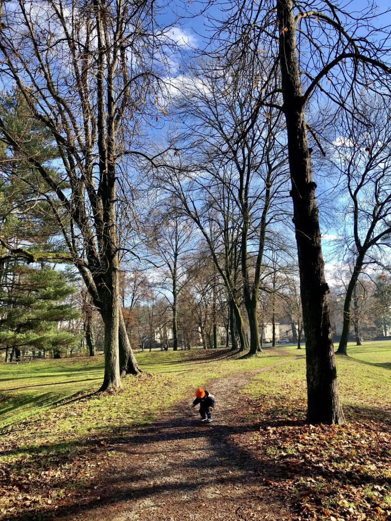 Another park in Karlovac, very close to city core
