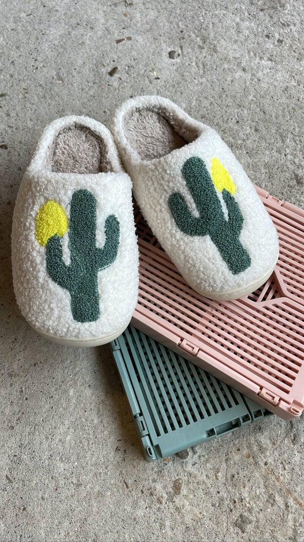 PANTOFFELS CACTUS