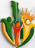 cpas-togo.org