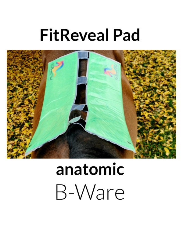 FitReveal Pad anatomic B-Ware