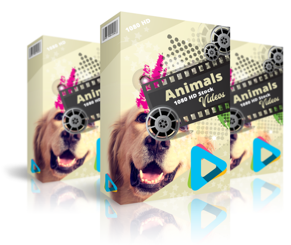 Animals 1080 HD Stock Videos Bundle