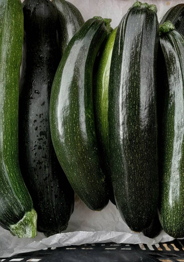 Zucchini /Kg.