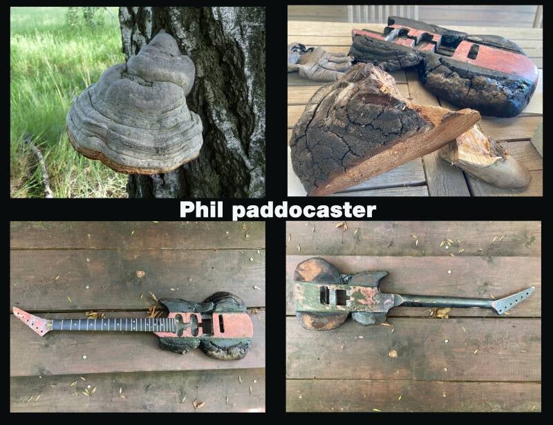 paddocaster