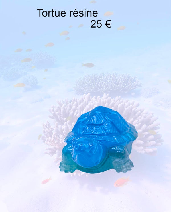 Tortue