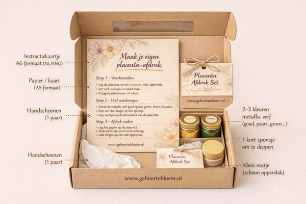 LEVENSBOOM -placenta afdruk DYN set  basis