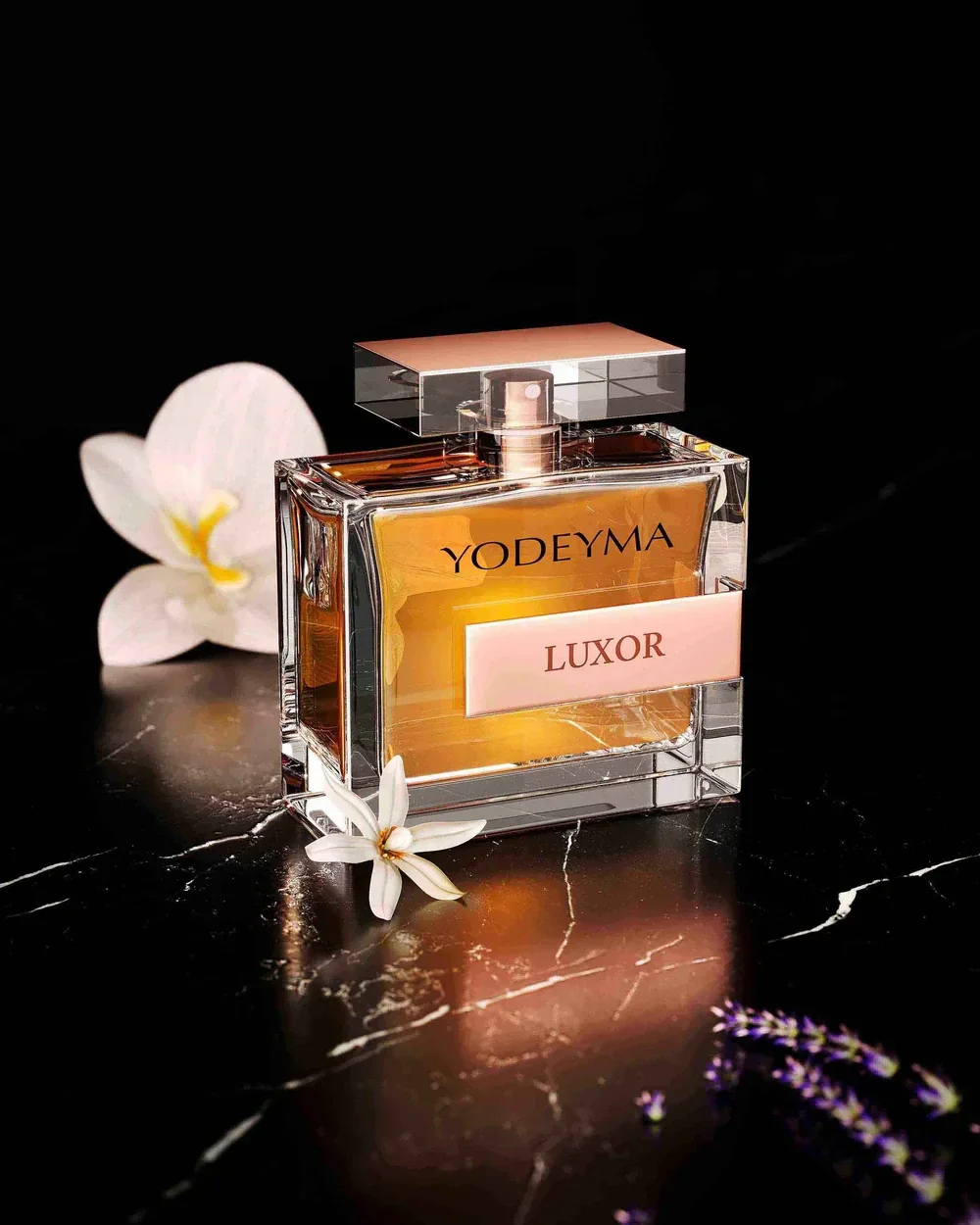 Luxor Yodeyma Favoriet