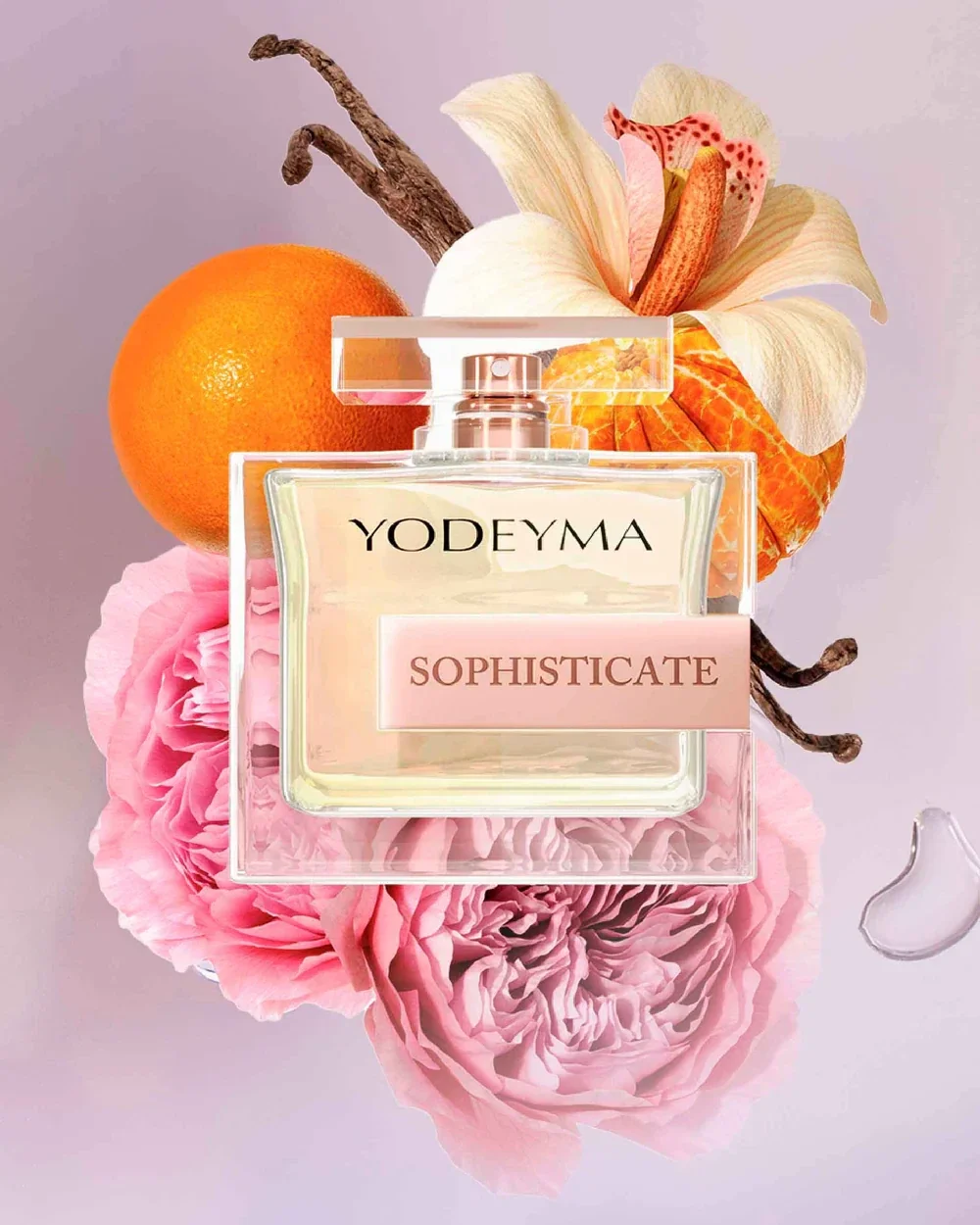 Yodeyma sophisticate 