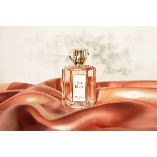 Diane Castel So Musk Eau De Parfum Spray 100 Ml For Women