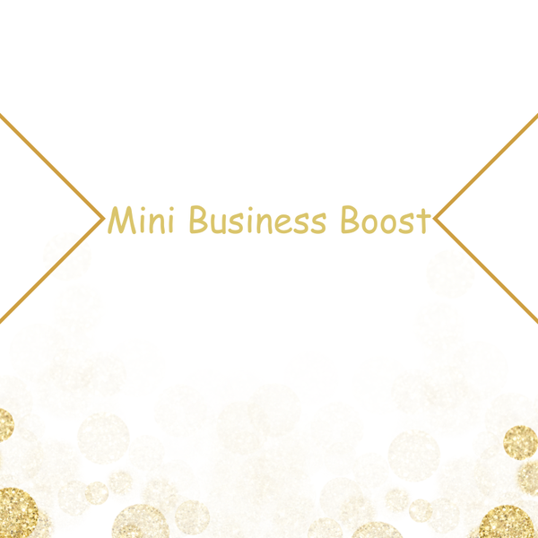 Mini Business Boost