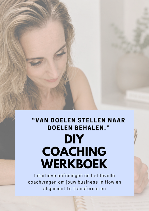 DIY Werkboek voor de Intuïtieve Onderneemster