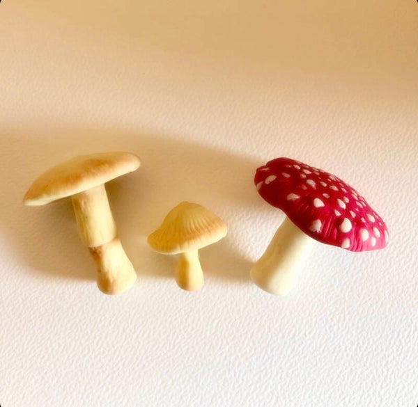 Setje Paddenstoelen
